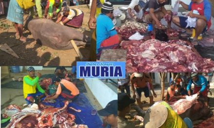 Sembelih Hewan Qurban di Masjid Tetap Dilestarikan di Desa Kedungmutih Demak