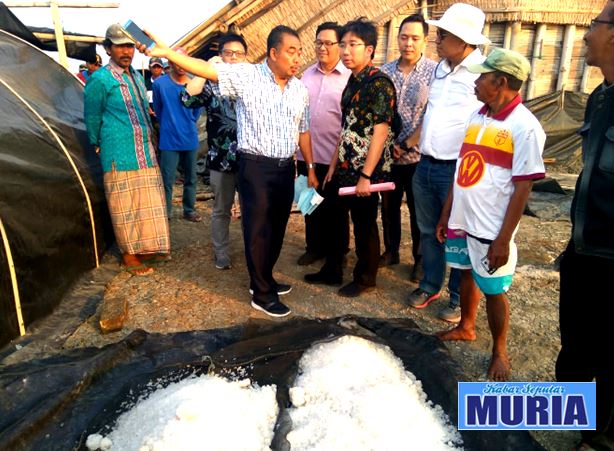 Panen Perdana Garam Industri di Lahan Tambak Garam Kedungmutih Demak