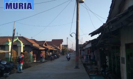 Betonisasi Jalan Raya Babalan Selesai, Wedung – Jepara Lancar Jaya