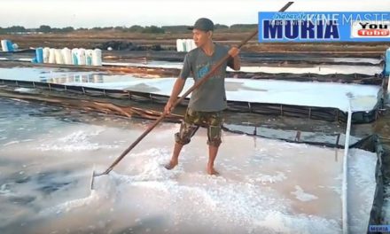 Kholil Petambak Garam Kedungmutih Demak Berhasil Buat Garam Na Cl  Lebih 95 Persen