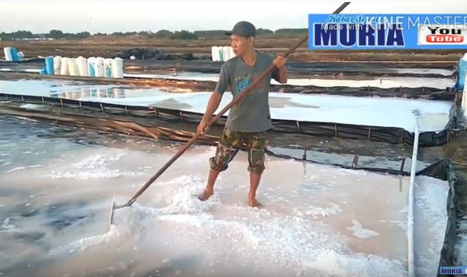 Kholil Petambak Garam Kedungmutih Demak Berhasil Buat Garam Na Cl  Lebih 95 Persen