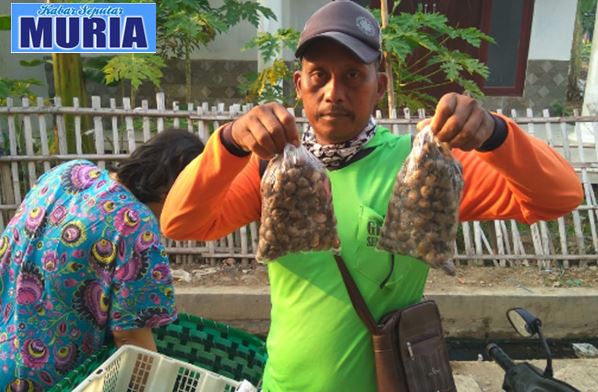 Pak Kamijan Warga Desa Bungo , Setiap Hari Jual Kerang Keliling