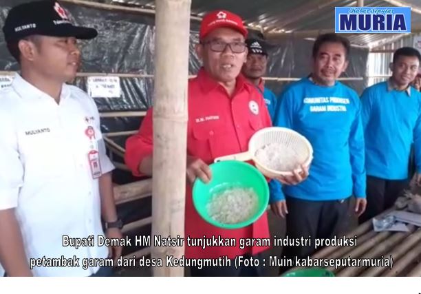 Bupati Demak HM Natsir  Gembira , Petambak Garam Demak Produksi Garam Industri di Musim Penghujan