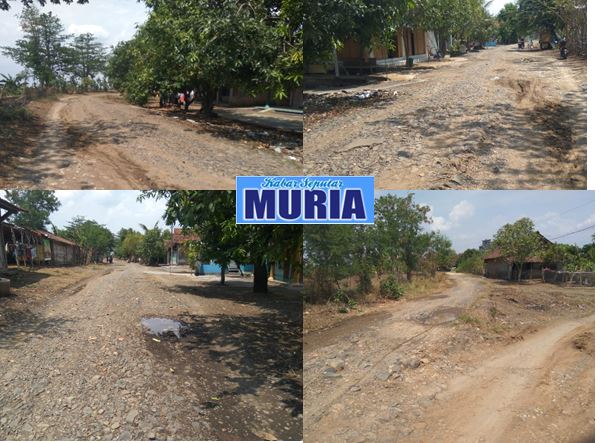 Jalan Raya Desa Rejosari Demak Masih Ada Yang Belum Dibetonisasi Hujan Licin dan Berkubang Air