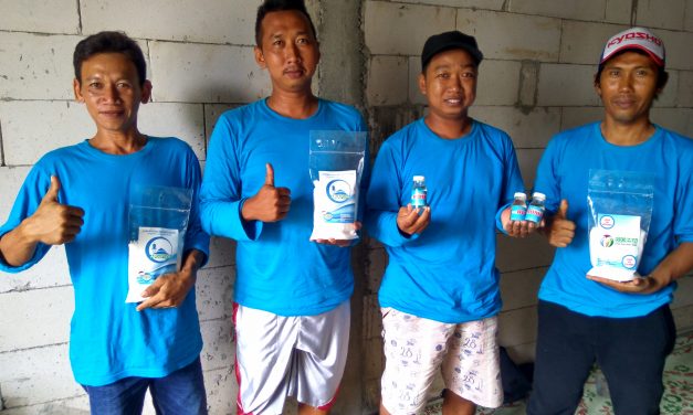 Koperasi Garam ROMA Kedungmutih Demak Produksi Garam Meja Beriodium dan Air Bittern