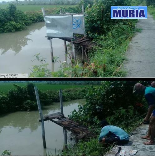 11 Kakus di Buko Demak di Bongkar , Ciptakan Prilaku Hidup Sehat dan Bersih Lingkungan