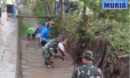 Anggota Koramil Trangkil dan Petani Bersihkan Saluran Cegah Banjir