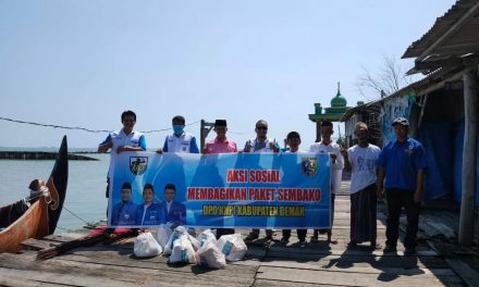 KNPI DEMAK BERBAGI KADO LEBARAN SAMBANGI KAMPUNG TENGGELAM SENIK REJOSARI SAYUNG