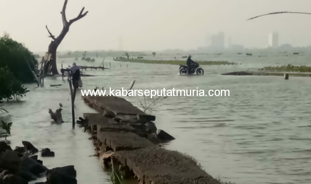 Ngeri !!! Dukuh Mondoliko Desa Bedono Demak, Terisolasi Karena Rob dan Abrasi