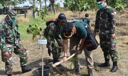 Agar Tetap Hijau , Hutan Jragung Terus Tanami Pohon