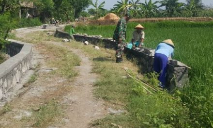 Babinsa Serka Sumitro Ikut Kegiatan Gotong Royong Bangun Talud