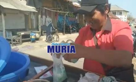 Pak Nur Khosim Warga desa Kaliombo Jepara , Dua puluh Tahun lebih berjualan Cendol Dawet