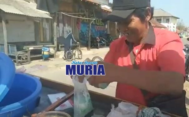 Pak Nur Khosim Warga desa Kaliombo Jepara , Dua puluh Tahun lebih berjualan Cendol Dawet