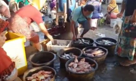 Pasar Pagi Karangaji Jepara , Ada ikan Laut ada Ikan Darat