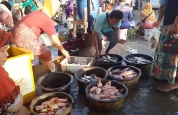 Pasar Pagi Karangaji Jepara , Ada ikan Laut ada Ikan Darat