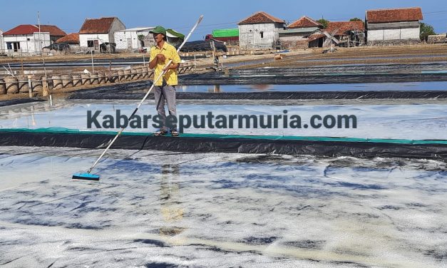 Usai Hujan Pak Sugiman Masih Panen Garam Karena Memakai Geoisolator