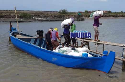 RI Masih Impor Garam karena produksi nasional kurang dan Kualitas Garam Rakyat Rendah