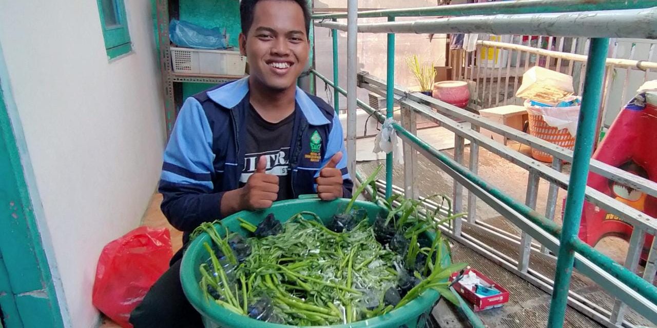 Mahasiswa KKN UIN Walisongo Lakukan Budikdamber Solusi Ternak Ikan Lele dengan Lahan Terbatas