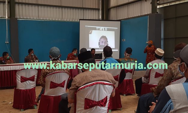 Petambak Garam Demak Jangan Jual Garam Dalam Bentuk Grosok