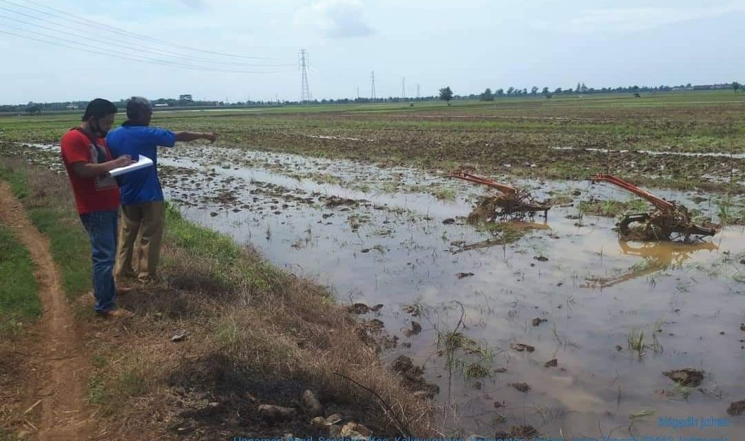 Mesin Traktor Di Sawah Diembat Maling dilidik Polisi