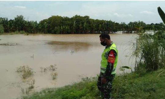 Babinsa Cek Tanggul Sungai Waspada Bencana Banjir