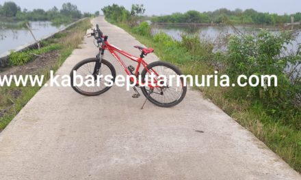 Jalan Ke Pantai Bulak Baru Jepara , Kini Mulus Dibetonisasi dari DD