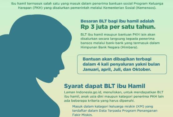 Inilah Cara Mendapatkan Bantuan Ibu Hamil Sejumlah 3 Juta Program PKH