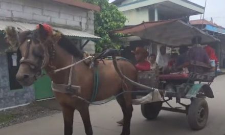 Bang Momok Kais Rejeki Dengan Ajak Anak-Anak Keliling Kampung Naik Dokar