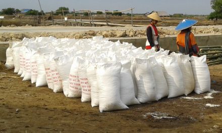 Garam Impor Untuk Pasok Industri Manufaktur , Produktifitas dan Kualitas Garam Lokal Perlu Ditingkatkan