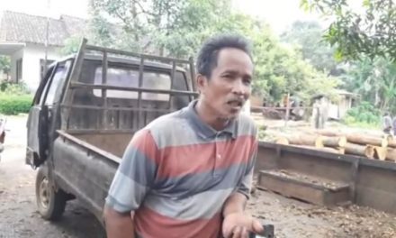 Pak Prasudi Jualan Kayu Gelondong , Covid 19  Omzet Turun Sedikit