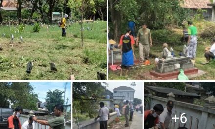 SAMBUT RAMADHAN ANSOR RANTING WEDUNG BERSIH-BERSIH MAKAM DESA