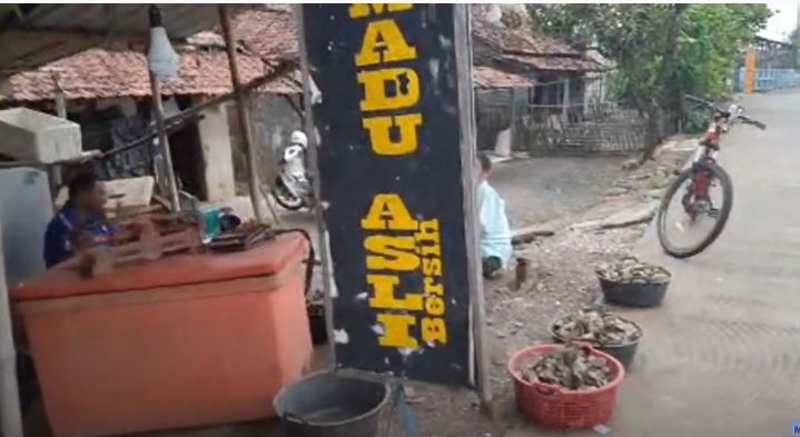 Tiram Bisa di makan Matang atau Mentah Ini Tempat Belinya