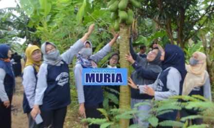 SMPN 1 Pecangaan Sekolah Adiwiyata , Ada Kebun Buah Di Belakang  Sekolah