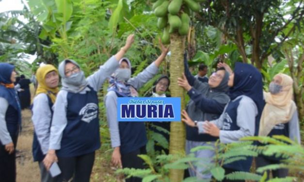 SMPN 1 Pecangaan Sekolah Adiwiyata , Ada Kebun Buah Di Belakang  Sekolah