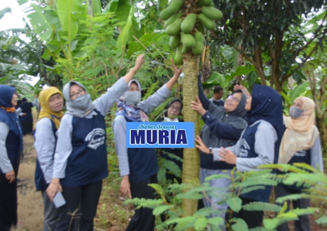 SMPN 1 Pecangaan Sekolah Adiwiyata , Ada Kebun Buah Di Belakang  Sekolah