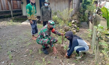 Babinsa Jragung Gandeng  Pemuda IPPNU Laksanakan Penanaman Pohon , Ciptakan Lingkungan Yang Hijau