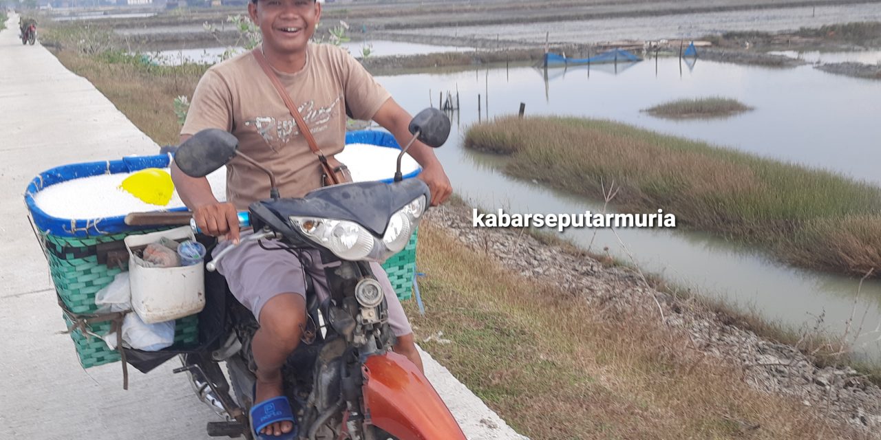 Syihabudin Jual Garam Krosok Demak , Untungnya Lumayan Banyak