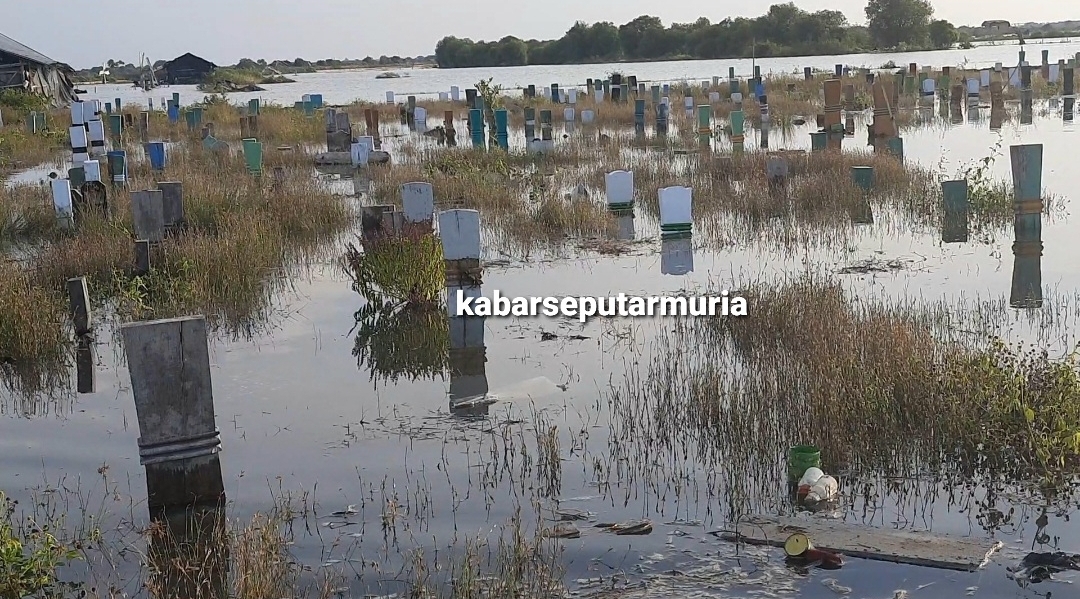 Rob Tinggi Tenggelamkan  Pemakaman Umum di Desa Pesisir Demak