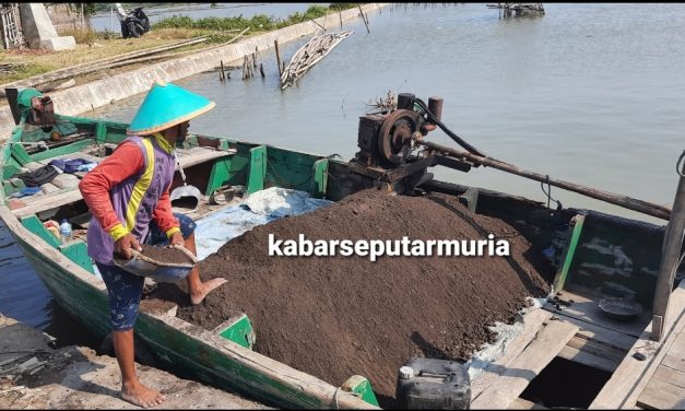 Desa Babalan Desa Pesisir  , Buat Rumah Biaya Tinggi Ada langsiran Matreal Dengan Perahu