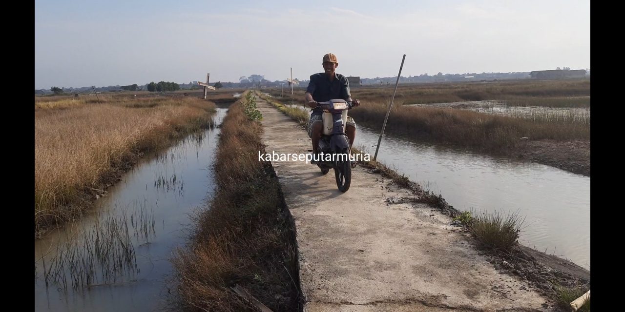 Ada Jalan Usaha Tambak , Ke Tambak Garam Kini Bisa Naik Sepeda Motor