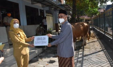 H-1 Hari Raya Iedul Adha ,Bupati Demak Serahlan 2 Ekor Sapi