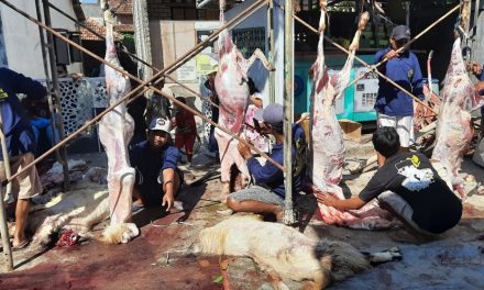 Pandemi Covid 19 Warga Kedungmutih Demak , Tetap Gelar Shalat Iedul Adha dan Kegiatan Qurban