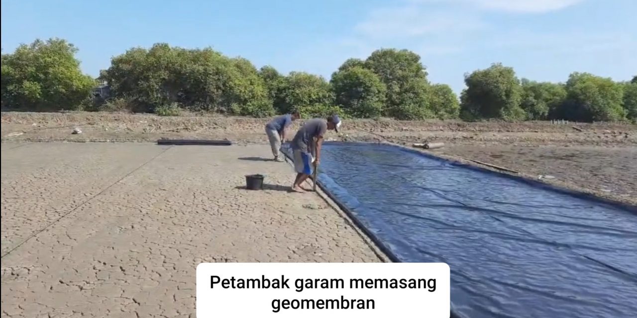 Kisah Petambak Garam dan Geomembran , Dulu Dapat Bantuan Dijual Kini Harus Beli Meski Mahal