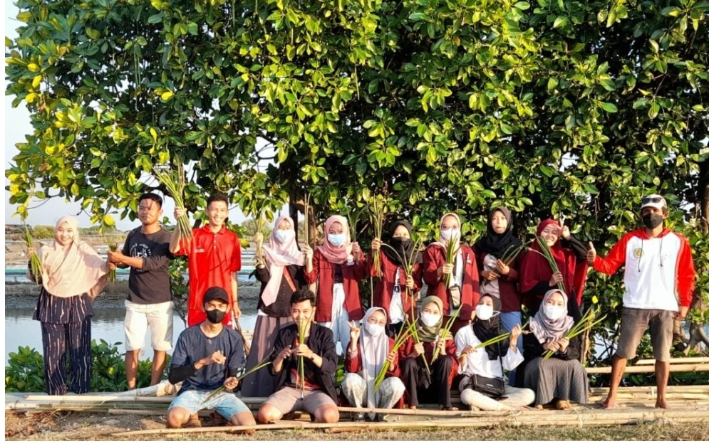 Mahasiswa  KKN IAIN Kudus Belajar Tanam Mangrove di Reduksi Kedungmutih