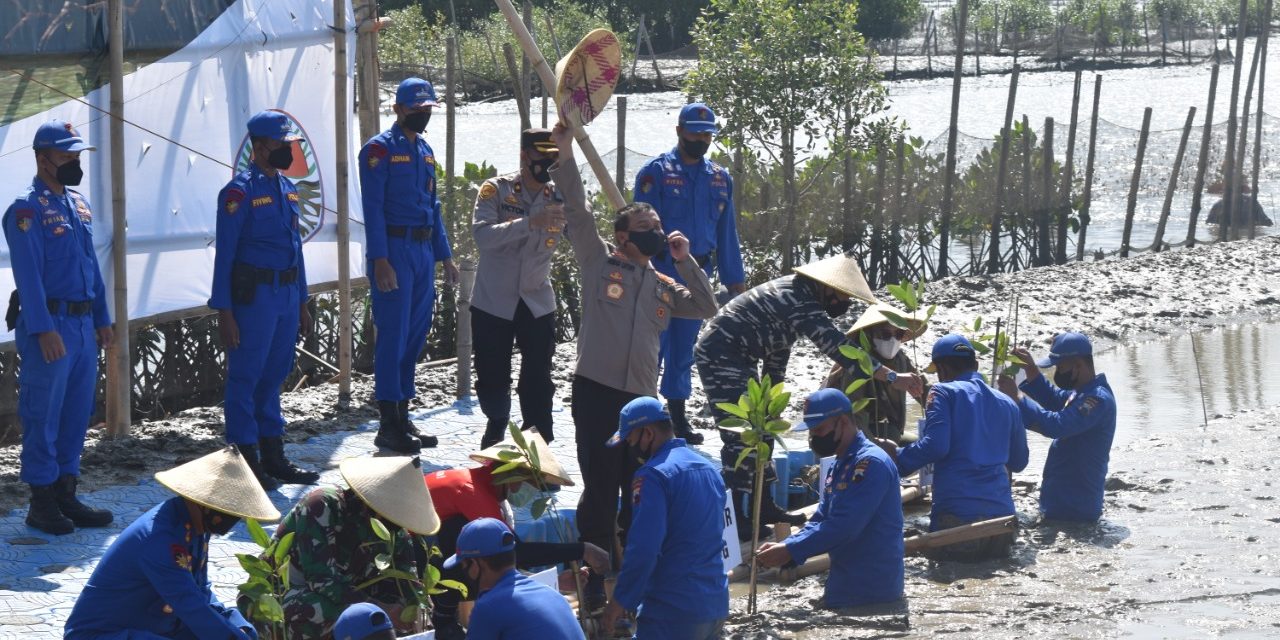 Program Mageri Segoro, Kapolda Jateng Tanam Mangrove Di Bedono Sayung