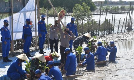 Program Mageri Segoro, Kapolda Jateng Tanam Mangrove Di Bedono Sayung