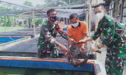 Dukung peternak Ikan Lele, Dandim 0716/Demak Berikan Motivasi untuk Lebih produktif