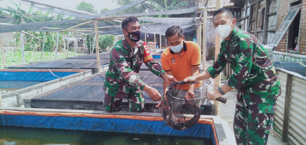 Dukung peternak Ikan Lele, Dandim 0716/Demak Berikan Motivasi untuk Lebih produktif