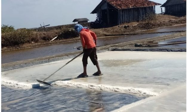Cerita Petambak Garam Pati Seputar Penggunaan Geo Isolator