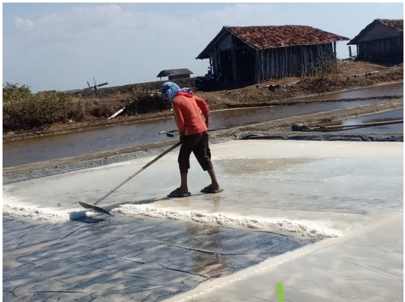 Cerita Petambak Garam Pati Seputar Penggunaan Geo Isolator